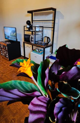 una sala de estar con una manta colorida en el suelo en Tiriticco B&B, en Podenzano
