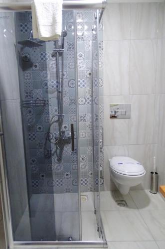 a shower in a bathroom with a toilet at Sarissa Butik Otel in Ayvacık