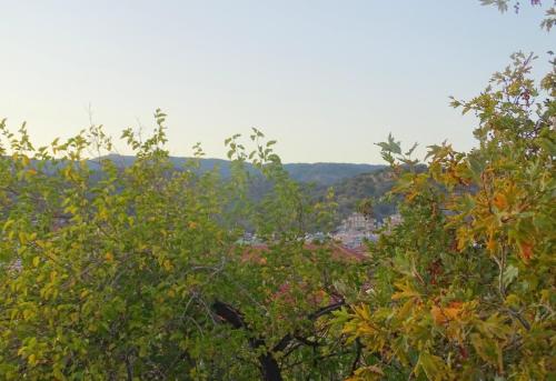 a tree with a view of a city in the distance at Sarissa Butik Otel in Ayvacık