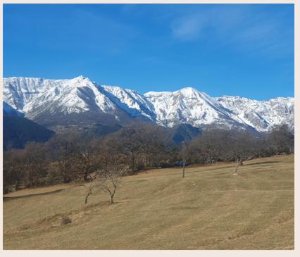 a field with snow capped mountains in the background at Gîte-Auberge l'écureuil in Châteauneuf-dʼEntraunes