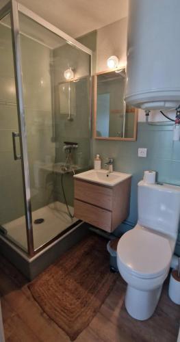 une salle de bain avec une douche, des toilettes et un lavabo dans l'établissement Appartement cosy avec balcon 4 personnes max, à Villers-sur-Mer
