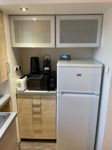 a kitchen with a white refrigerator and a microwave at Studio entièrement équipé au coeur du centre ville in Anse