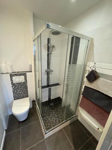 a bathroom with a glass shower with a toilet at Studio entièrement équipé au coeur du centre ville in Anse