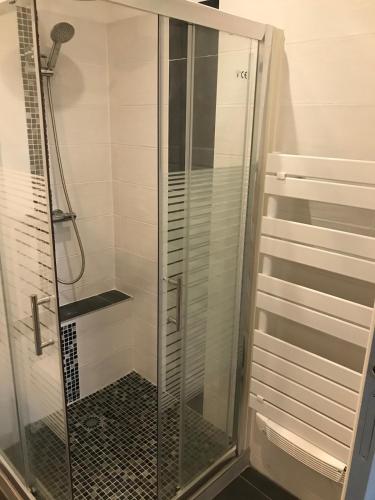 a shower with a glass door in a bathroom at Studio entièrement équipé au coeur du centre ville in Anse
