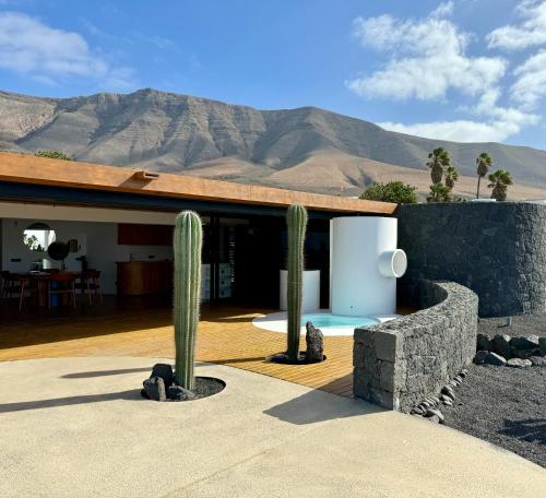 Canaryislandshost I Petra