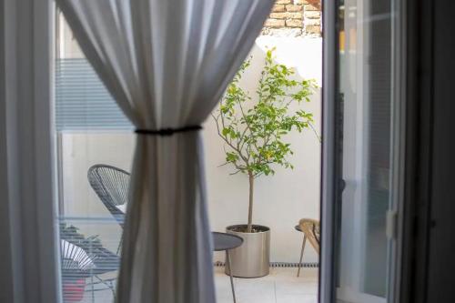 a window with a curtain and a potted plant at Relais Pensiero in Verona