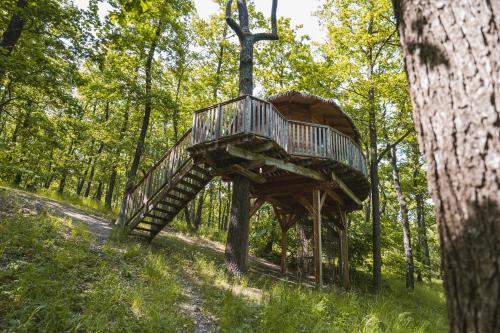 TREE HOUSE U Mravence