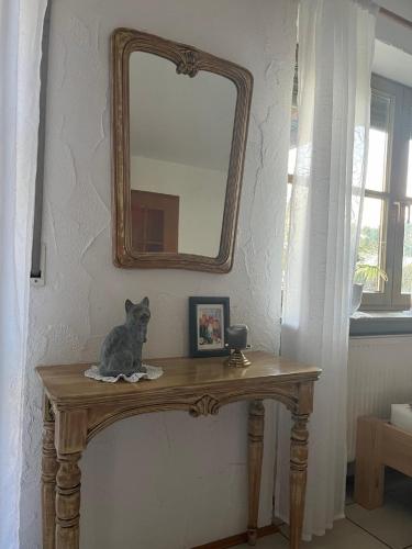 a cat sitting on a table under a mirror at Dobhan Gästezimmer in Karlstadt