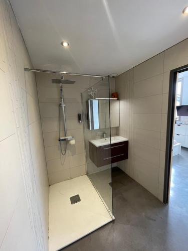 une salle de bain avec une douche avec un lavabo et un miroir dans l'établissement L'Atypique, à Jacou