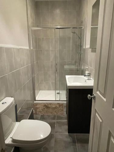 a bathroom with a shower and a toilet and a sink at Little Hebden Bridge House in Hebden Bridge