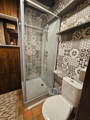 une salle de bain avec toilettes et douche dans l'établissement Dolce vita - 100m des quais et de place Plumereau, à Tours