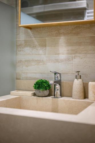 La salle de bains est pourvue d'un lavabo et d'une plante en pot. dans l'établissement Le Duplex de la Mer, vue magnifique, accès plage, à Fréjus