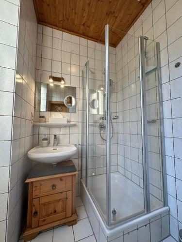 a bathroom with a shower and a sink at Ferienhaus Löwenherz in Pommern
