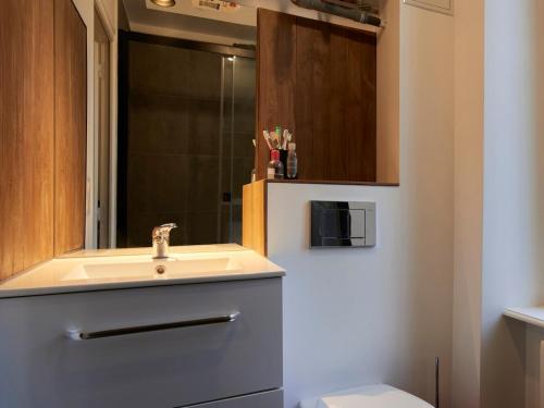 une salle de bain avec un lavabo et un miroir dans l'établissement Appartement lumineux hyper centre, à Clermont-Ferrand