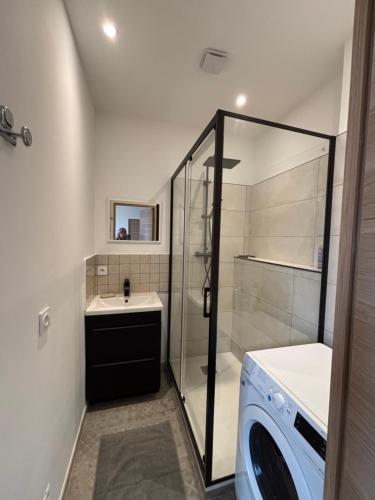 une salle de bain avec douche et lavabo et une machine à laver dans l'établissement HomeForville, à Cannes