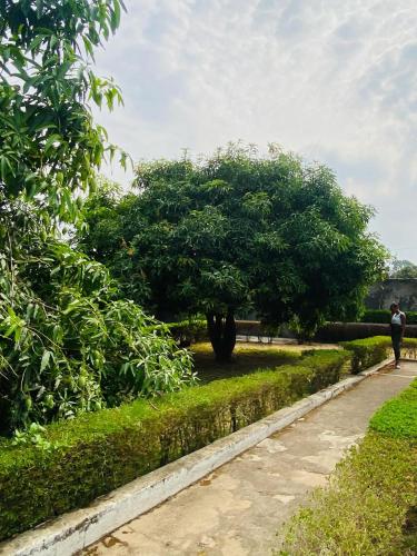 a man walking down a path next to a tree at Private Palace in Arua