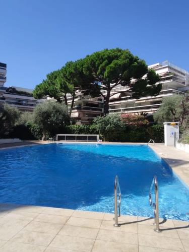 une grande piscine bleue avec un arbre en arrière-plan dans l'établissement Studio vue mer et montagnes, avec piscine, à Antibes