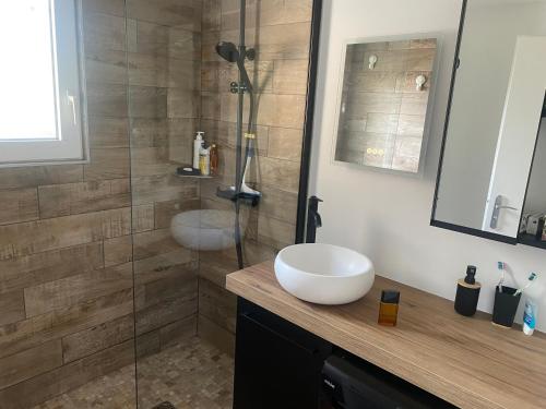 ein Badezimmer mit Dusche, Waschbecken und Toilette in der Unterkunft Patrimoine et immobilier Villas du Lac in Soustons