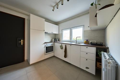 Η κουζίνα ή μικρή κουζίνα στο Lemon Apartment