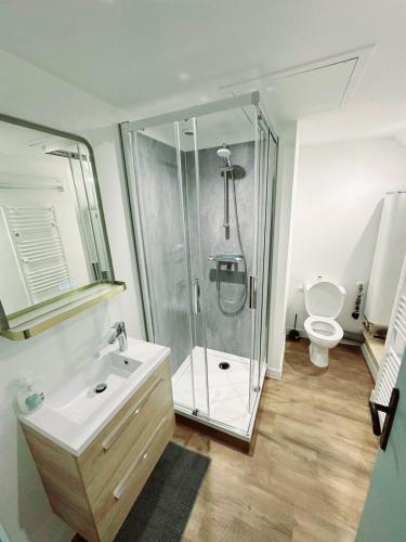 une salle de bain avec une douche, un lavabo et des toilettes dans l'établissement Appartement Djo&Juh2, à Granville