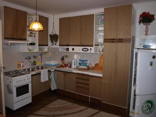 プラハにあるAttic Apartment City Centerのキッチン(木製キャビネット、白い冷蔵庫付)