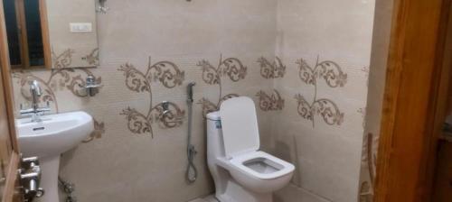a bathroom with a white toilet and a sink at Otsal guest house nubra in Deskit