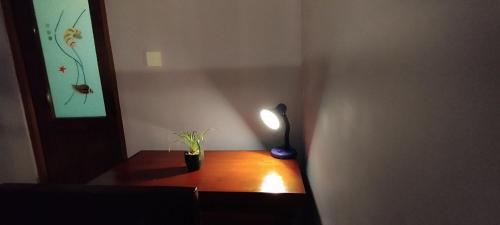 a table with a lamp and a plant on it at Rolling Waves Midigama East in Midigama