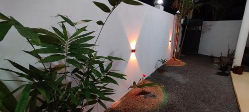 a light on a white wall next to a plant at Rolling Waves Midigama East in Midigama
