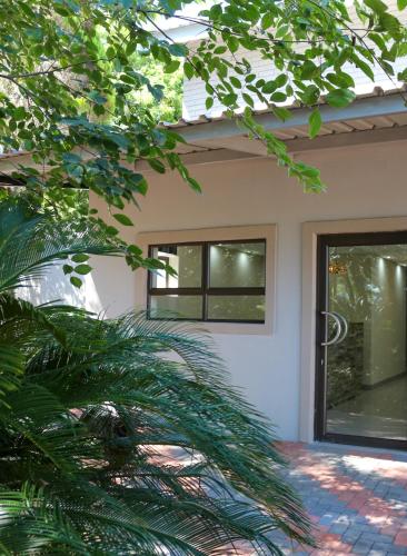 a house with a palm tree in front of a window at Luxury Heights Bed and Breakfast in Newcastle