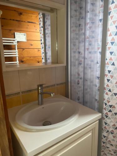 une salle de bain avec un lavabo et une douche dans l'établissement Le Chamois, à Le Tartre