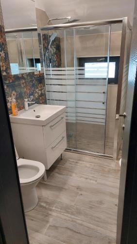 a bathroom with a shower and a toilet and a sink at Green Kub in Slănic-Moldova