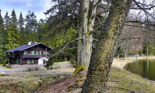 a house sitting on top of a hill next to a tree at Apartment Chalet Kladska in Mariánské Lázně