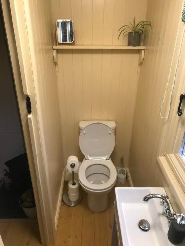 a small bathroom with a toilet and a sink at Phoenix Farm Shepherds Hut,Minions, Cornwall in Liskeard
