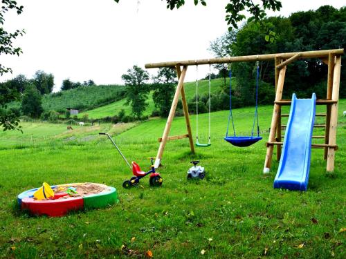 a playground with play equipment in the grass at Ferienwohnung Bock Feldmannshof in Drolshagen
