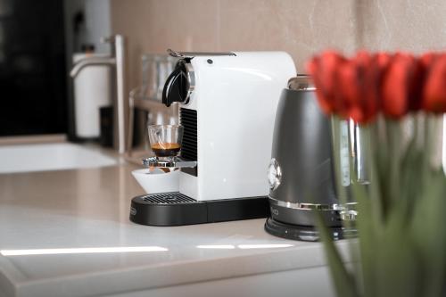 Kemudahan buat kopi dan teh di אור הצפון - צימרים