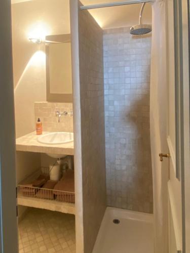 a bathroom with a shower and a sink at La Petite Campagne in Lonay