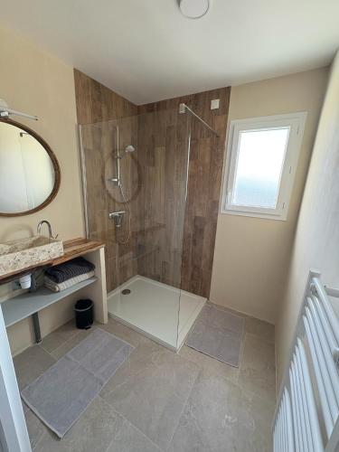 a bathroom with a shower and a sink and a mirror at Gîte 3 Ptits Chats in Saint-Aubin