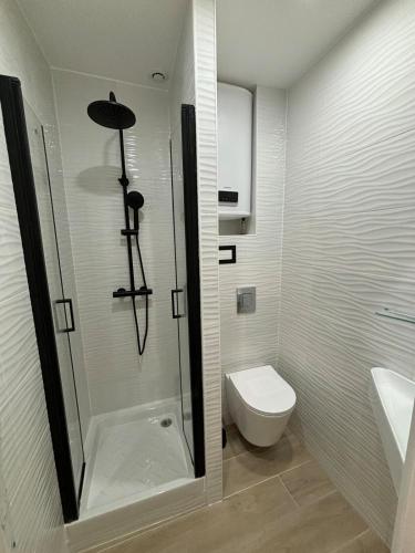 une salle de bain avec une douche, des toilettes et un lavabo dans l'établissement Studio Luxe Paris, à Clichy
