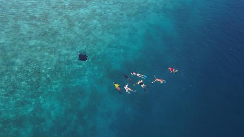 a group of people swimming in the water at Arista Villa in Ukulhas