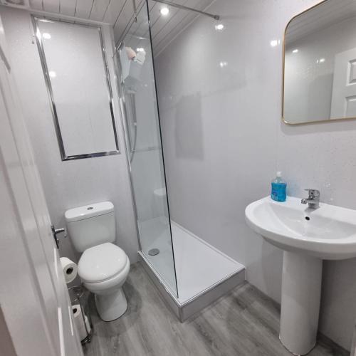 a bathroom with a shower and a toilet and a sink at Carrick - One Bed Apartment in Largs