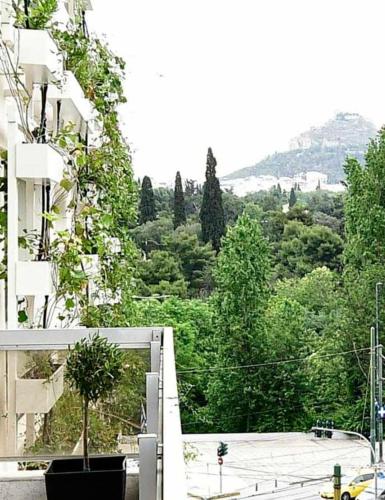Olympian Zeus top location