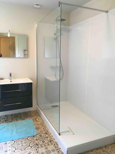 La salle de bains est pourvue d'une douche en verre, d'un lavabo et de toilettes. dans l'établissement Maison de Maître Piscine & Pool House, à Biscarrosse