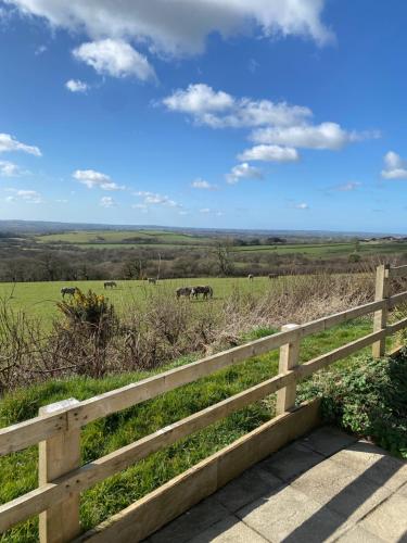 a wooden fence with horses in a field at Meadow View in Haverfordwest