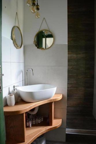 a bathroom with a white sink and a mirror at Serbina in Kandalica
