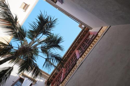 a view of a palm tree from a building at Can Cera Hotel in Palma de Mallorca