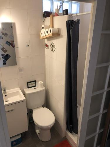 une petite salle de bain avec toilettes et lavabo dans l'établissement Peaceful studio in a impasse in Charonne, à Paris
