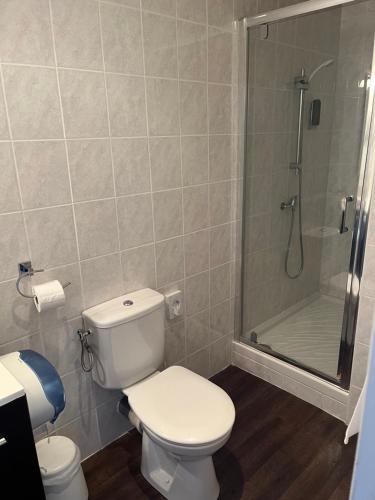 a bathroom with a white toilet and a shower at HOTEL LES MARRONNIERS in Thueyts