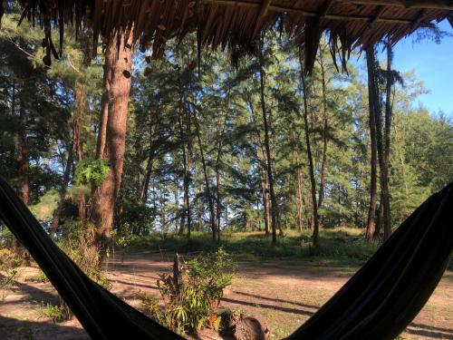 a hammock in a tent in a forest at Horizon Eco Resort in Ko Phra Thong