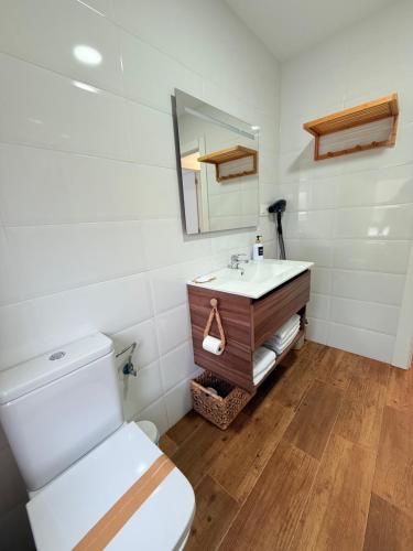 a bathroom with a toilet and a sink at La casuca de Candela in Santillana del Mar