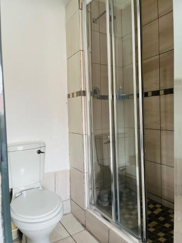 a bathroom with a toilet and a glass shower at Ashridge Guesthouse & Safaris in Hazyview